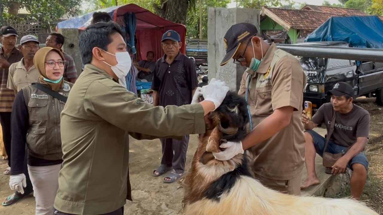 Warga Trenggalek Jangan Ketipu, Begini Cara Pilih Hewan Kurban Sehat untuk Hari Raya Idul Adha