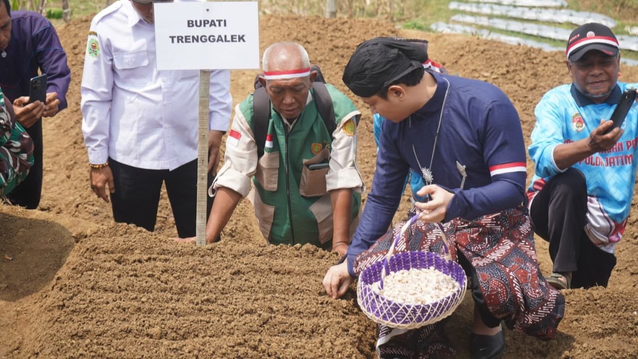 Trenggalek Mulai Tanam Bawang Putih, Target Kurangi Ketergantungan Impor