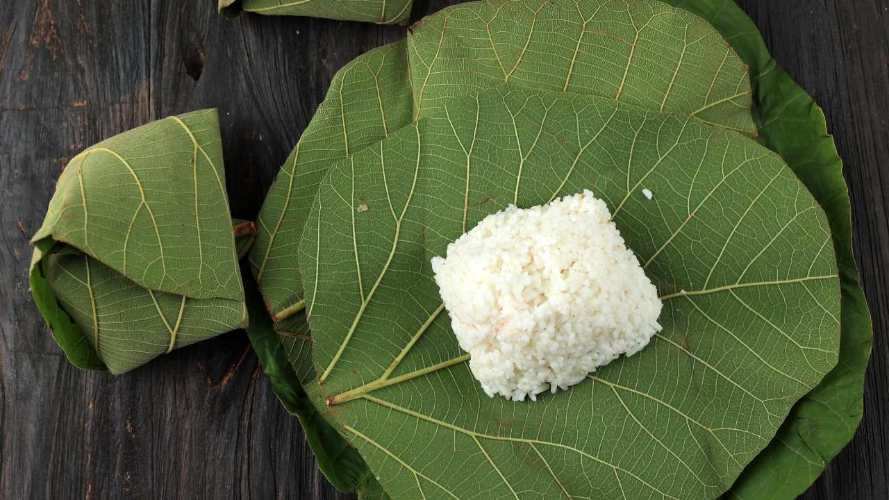 Sebelum Plastik Populer, 7 Daun Ini Jadi “Kemasan Andalan” Makanan Tradisional Indonesia