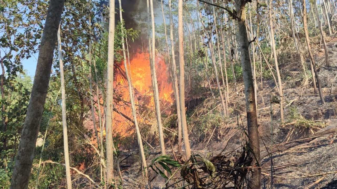 Diduga Karena Puntung Rokok, Kebun 3,5 Hektare di Kecamatan Panggul Terbakar