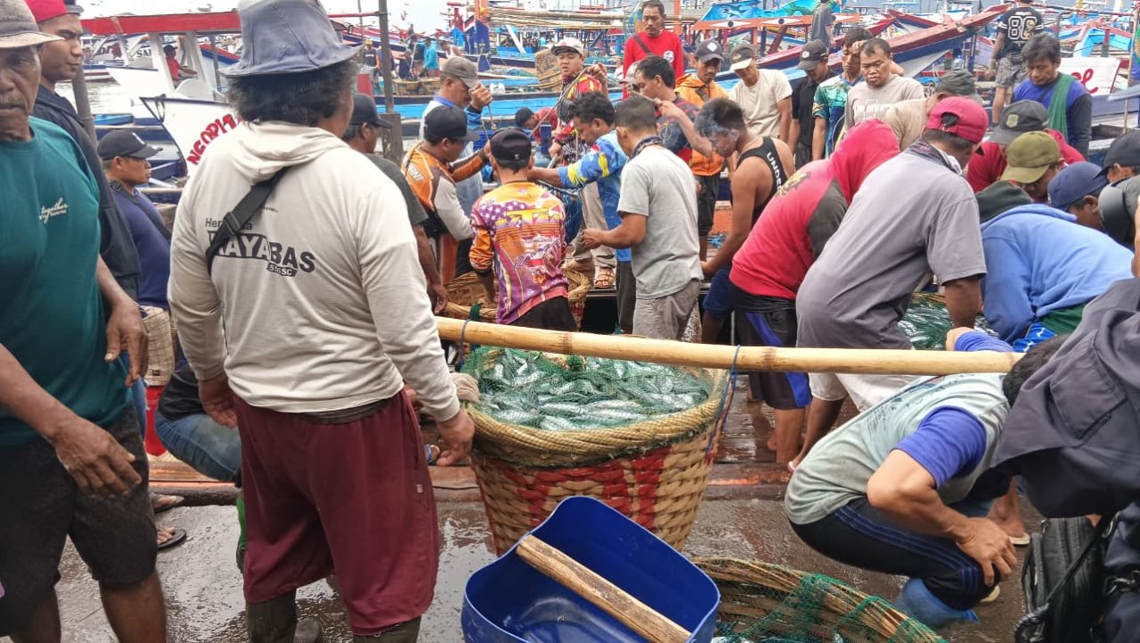 Musim Ikan Tiba, Nelayan Prigi Trenggalek Panen hingga 7 Ton Sekali Melaut