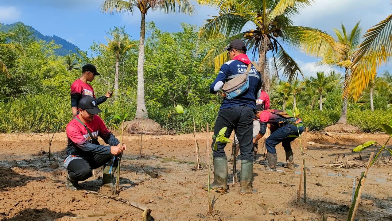 Pemuda Muhammadiyah Trenggalek Menanam Mangrove. KBRT/Adima