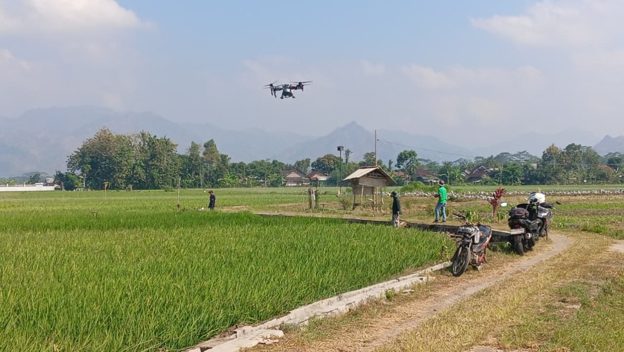 Drone Semprot Padi di Trenggalek, Petani Kerja Lebih Ringan