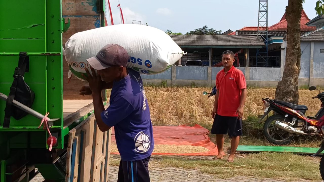 Bulog Sudah Serap 7 Ribu Ton Beras dari Trenggalek, Target 10 Ribu Ton Kian Dekat