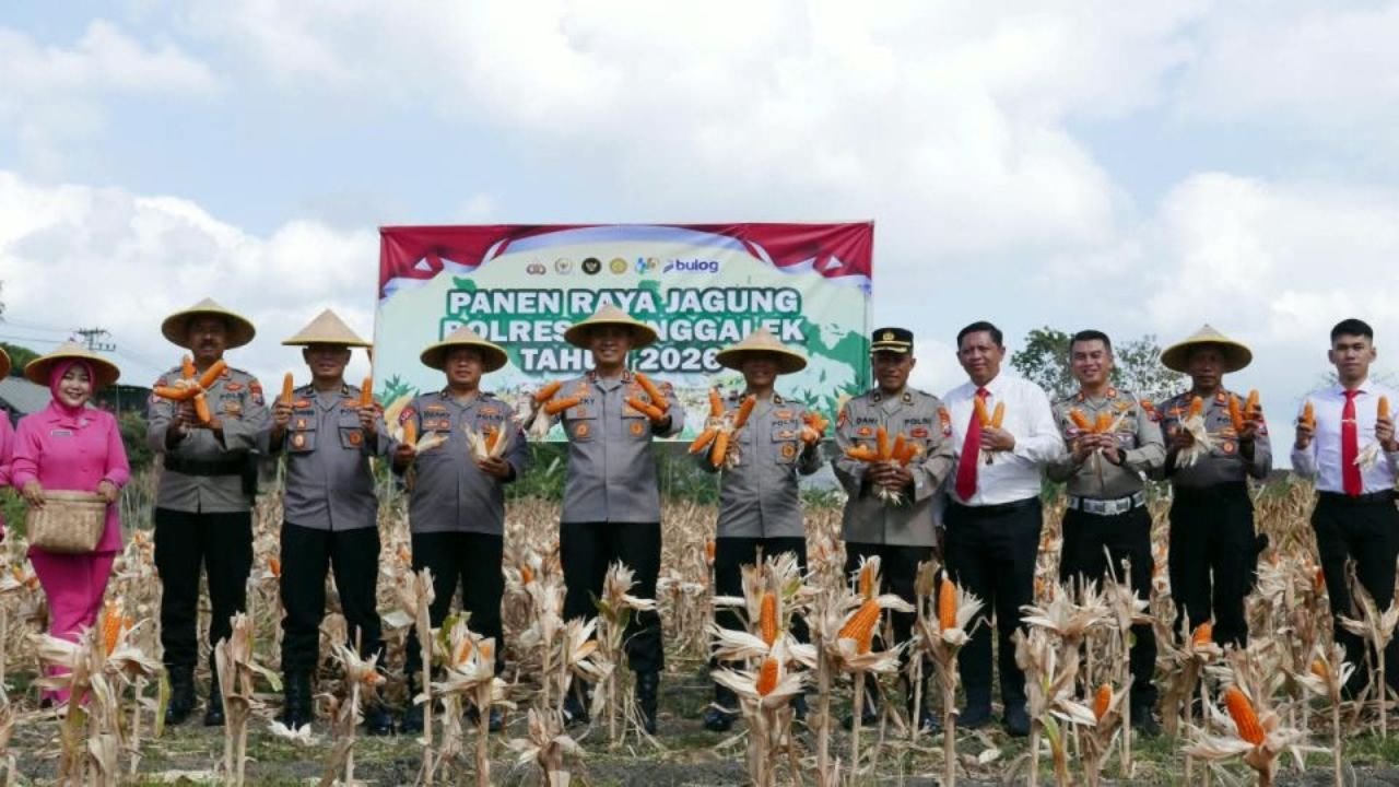 Polres Trenggalek Sulap Lahan Kosong Jadi Kebun Jagung, Panen Diperkirakan Capai 5 Ton