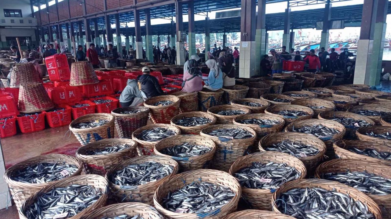 Hasil Tangkapan Nelayan Trenggalek Anjlok, Produksi Turun hingga 70 Persen