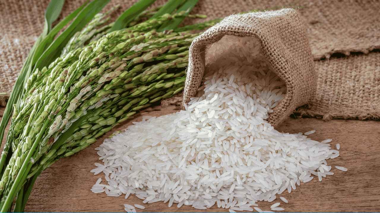Update Harga Beras Medium Jawa Timur, Trenggalek Punya Harga Termurah