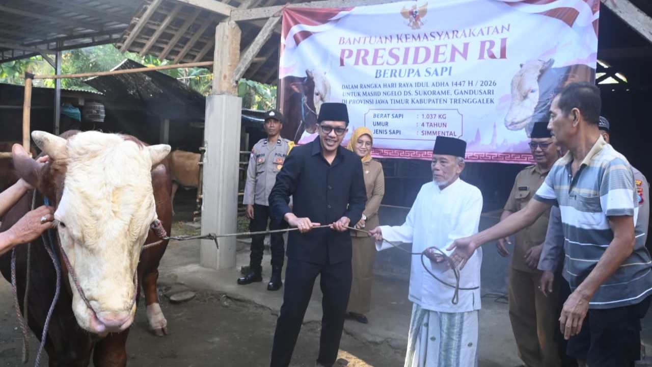 Wabup Trenggalek Serahkan Sapi Kurban Presiden Prabowo ke Masjid di Gandusari