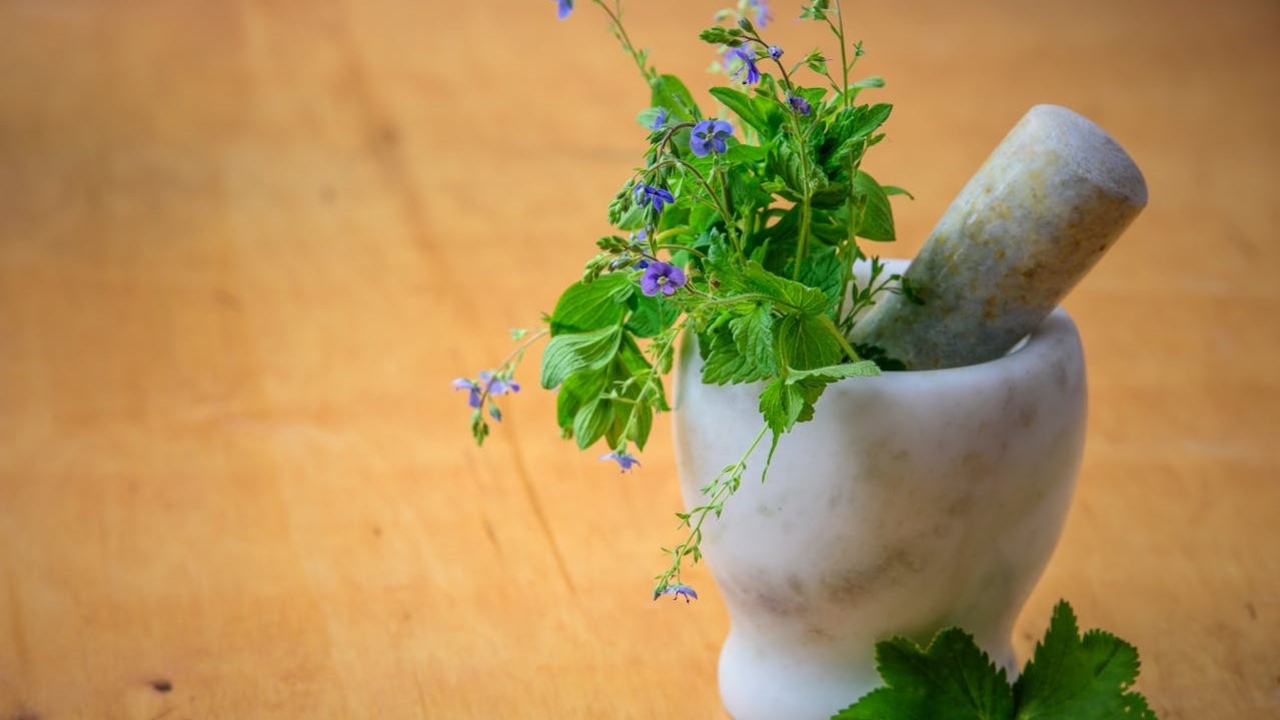 Deretan Daun Herbal dan manfaat untuk Kesehatan