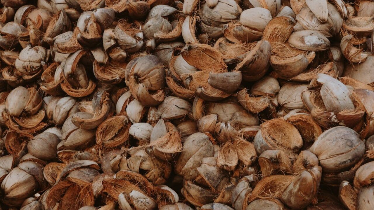 Cara Memanfaatkan Serat Kelapa Jadi Bahan Baku Tekstil Ramah Lingkungan