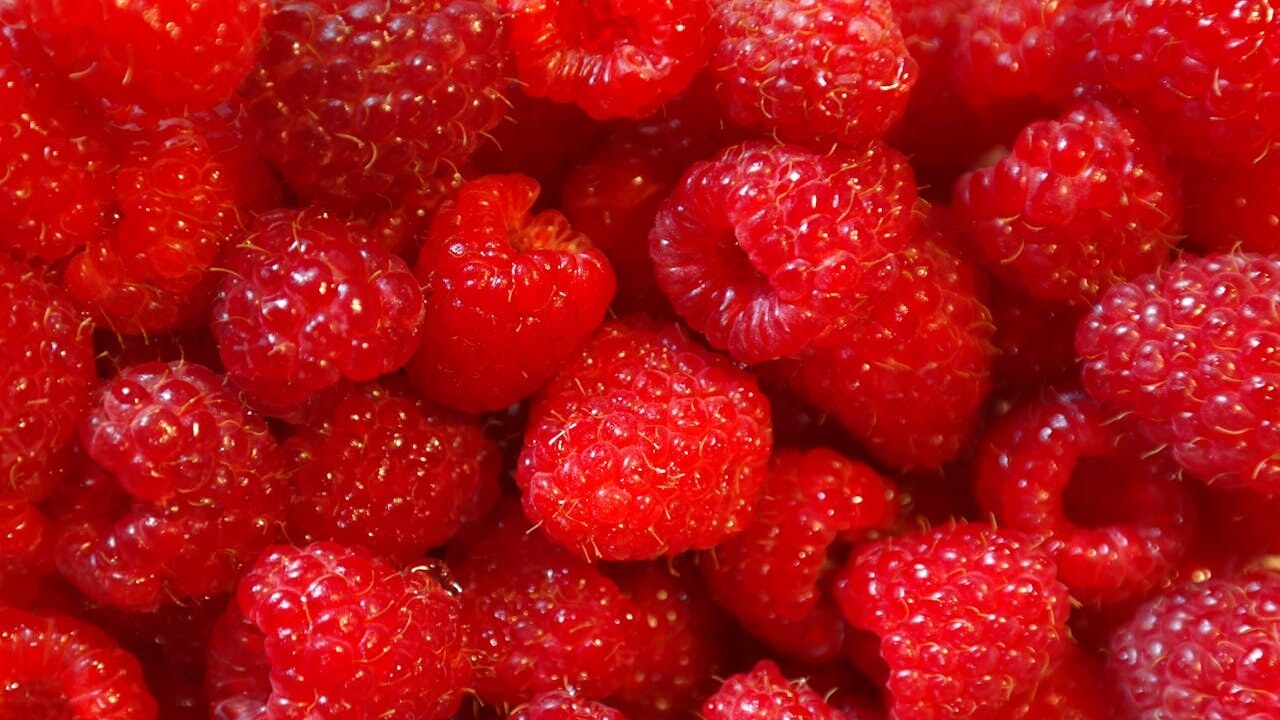 Manfaat Raspberry, Buah Mujarab untuk Kesehatan dan Kecantikan