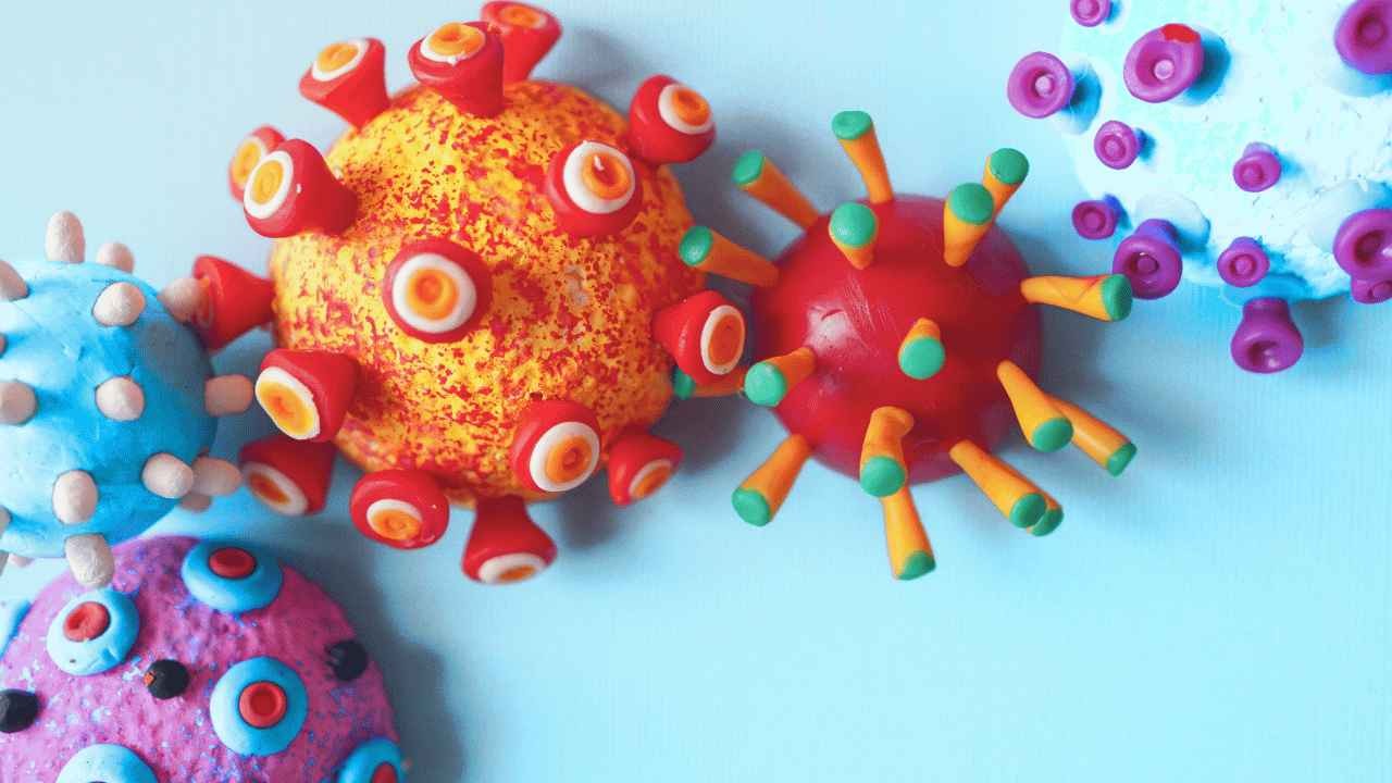 Apa Itu Virus Hanta? Kenali Gejala, Penyebab, dan Cara Pengobatannya