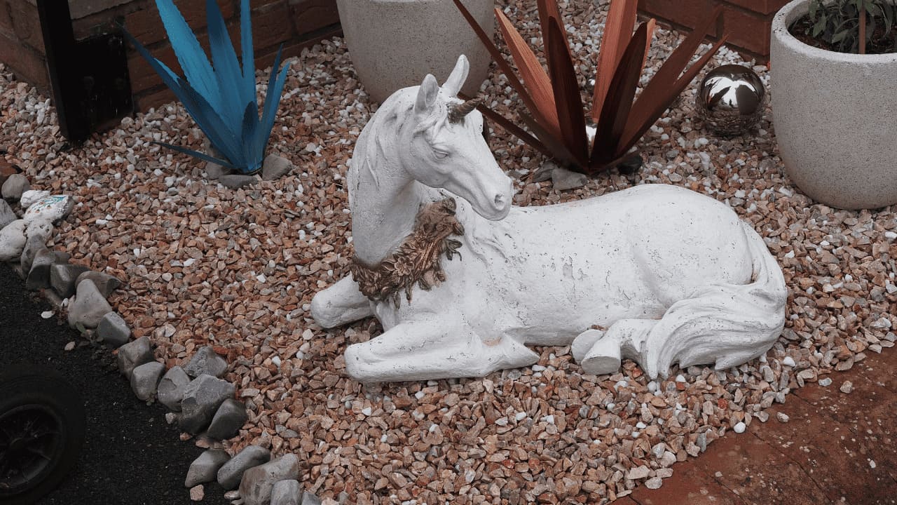 Unicorn Ternyata Ada di Dunia Nyata. Emang Bener?