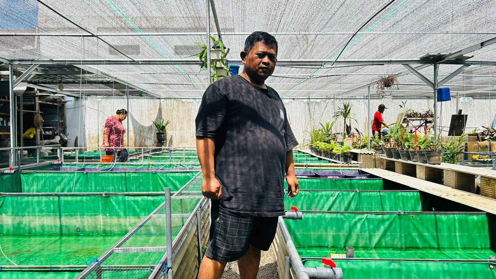 Kios Ikan Hias Pak Oce, Pakai Konsep Prasmanan untuk Memanjakan Penghobi Ikan