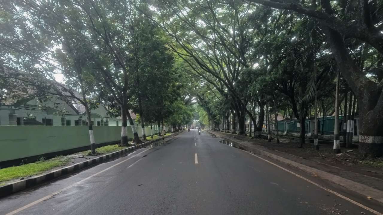 Panjang Ruas Jalan Provinsi Jawa Timur di Kabupaten Trenggalek