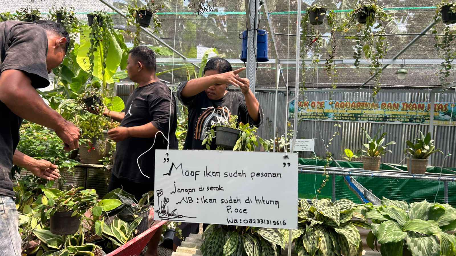 rutinitas-pak-oce-di-lokasi-penjualan-ikan.jpeg