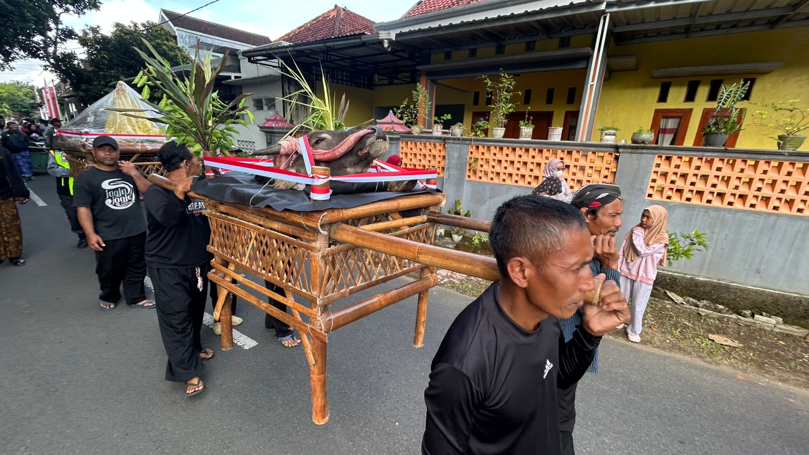 Penuh Makna, Warga Trenggalek Berebut Kepala Kerbau di Tradisi Nyadran Dam Bagong